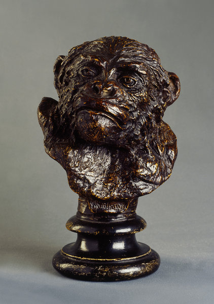A Rare Sculpture of the Chimpanzee 'Sally' by Rowland Ward of London